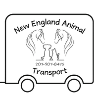 New England Animal Transport
