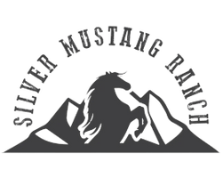 Silver Mustang Ranch