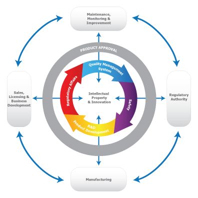 There’s More to Being a Medical Device Business than IP and R&D