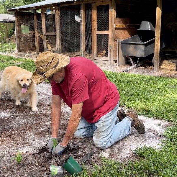 Gardening on 1-acre within the city limits is challenging and rewarding.