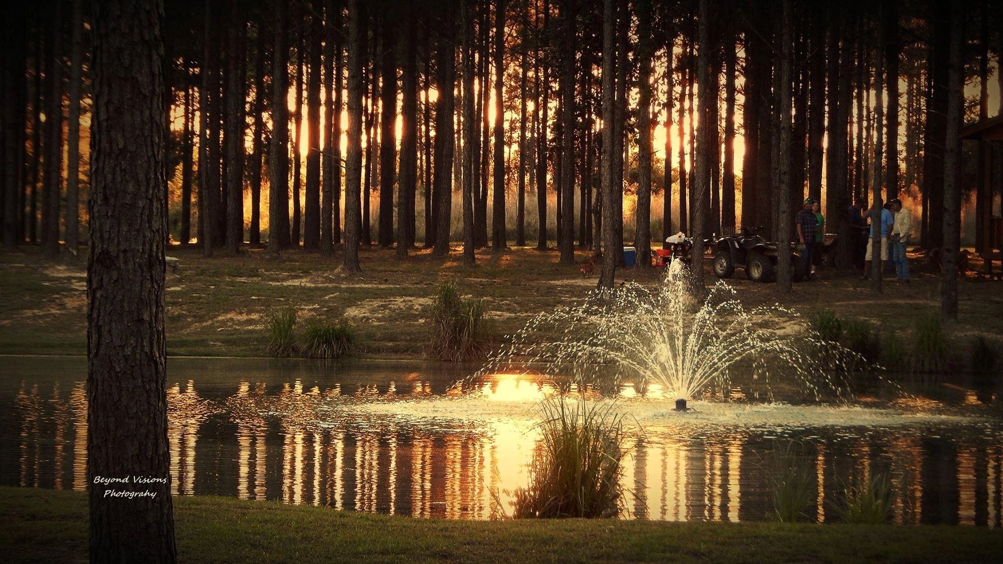 Bogue Chitto Swamp Cabins Cabin Rentals, RV Spots, Camping