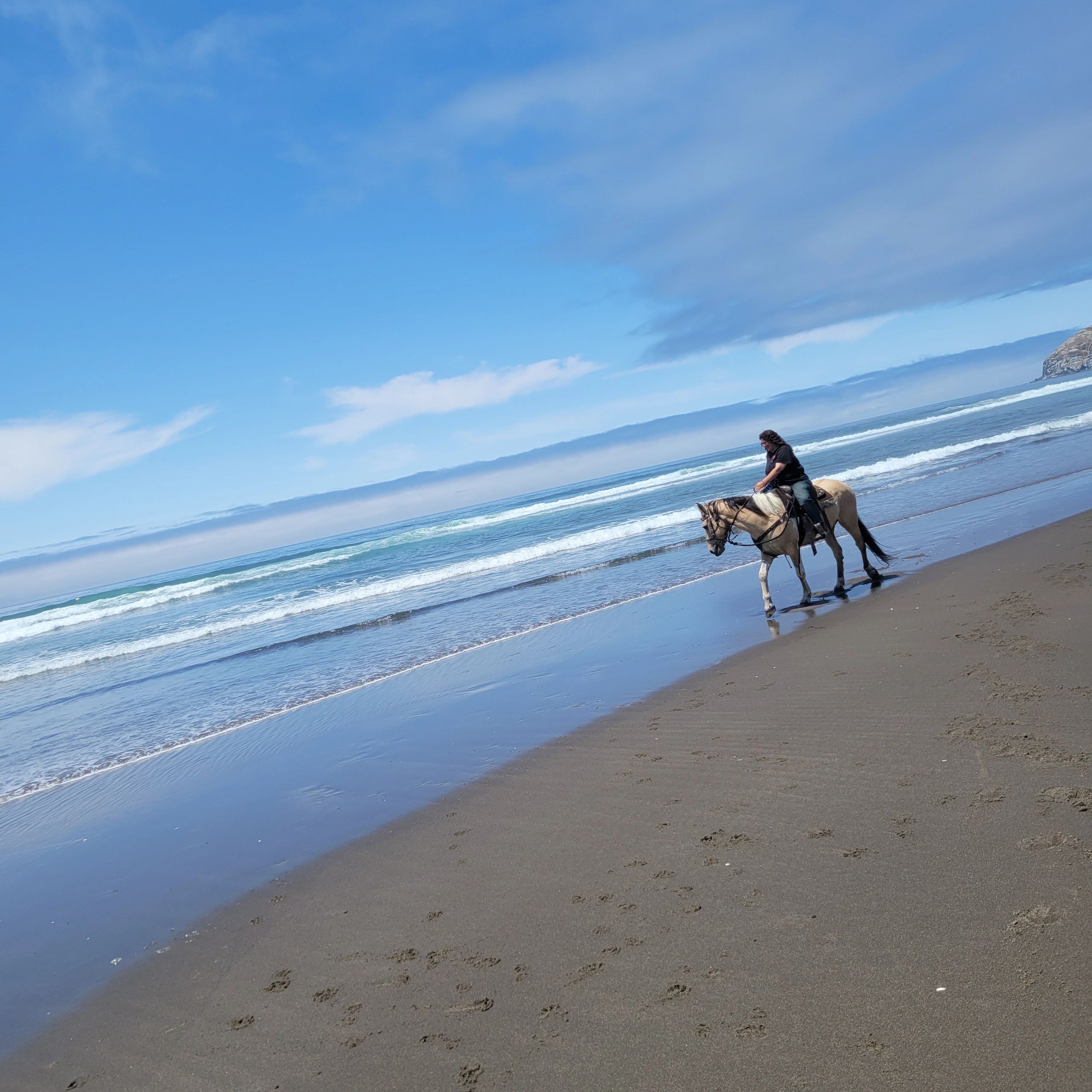M&R Beach Rides