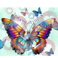 1 Social Butterfly