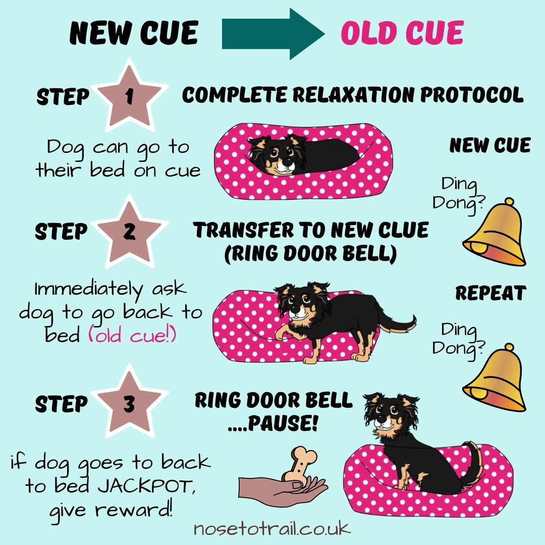 How to stop your dog barking at the doorbell?