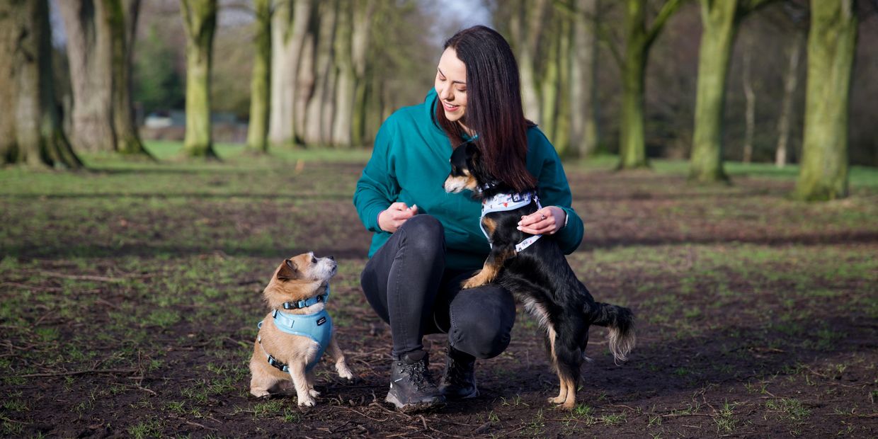 Rachel owner of Nose to Trail with her 2 small dogs Maisy and Rico, a jack russell x and a kokoni