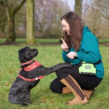 Mell training her labradoodle