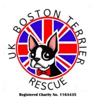 UK boston terrier logo