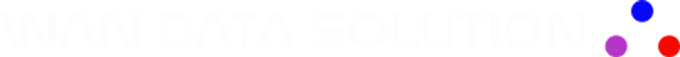 Wan Data Solution