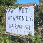 heavenly harvest foundation