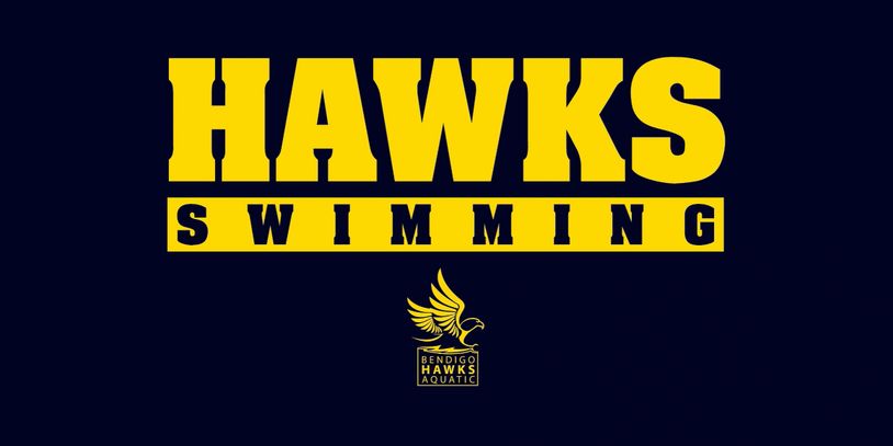 Bold yellow Hawks Swimming logo on dark background.