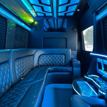 Larkspur Sprinter Limos