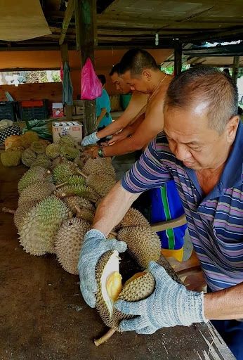 What Is Food Tourism And Why Is It Growing In Popularity 