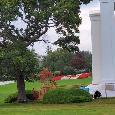 Canada flag done in red and white begonia flower in a Park