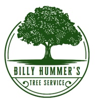 Billy Hummer's Tree Service & Stump Grinding