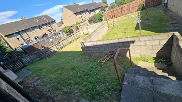 Sunny backyard with green grass and stone stairs.