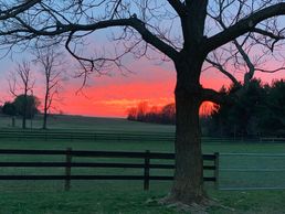 Agility Arena Pittstown NJ Sunset