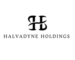 HalvadyneHoldings.com