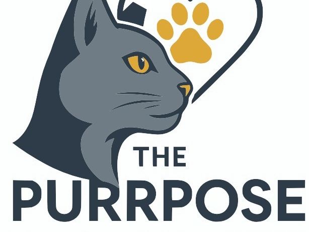 Logo of a cat and a paw print with the text 'The Purrpose'.