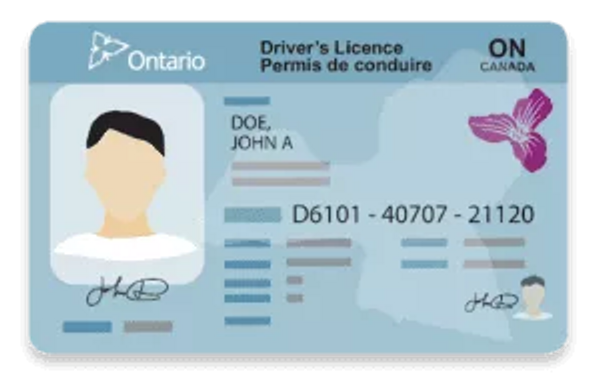 Drivers License Ontario