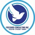 freebirdconsultinginc.com