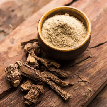 A photo of ground and whole sarsaparilla root.