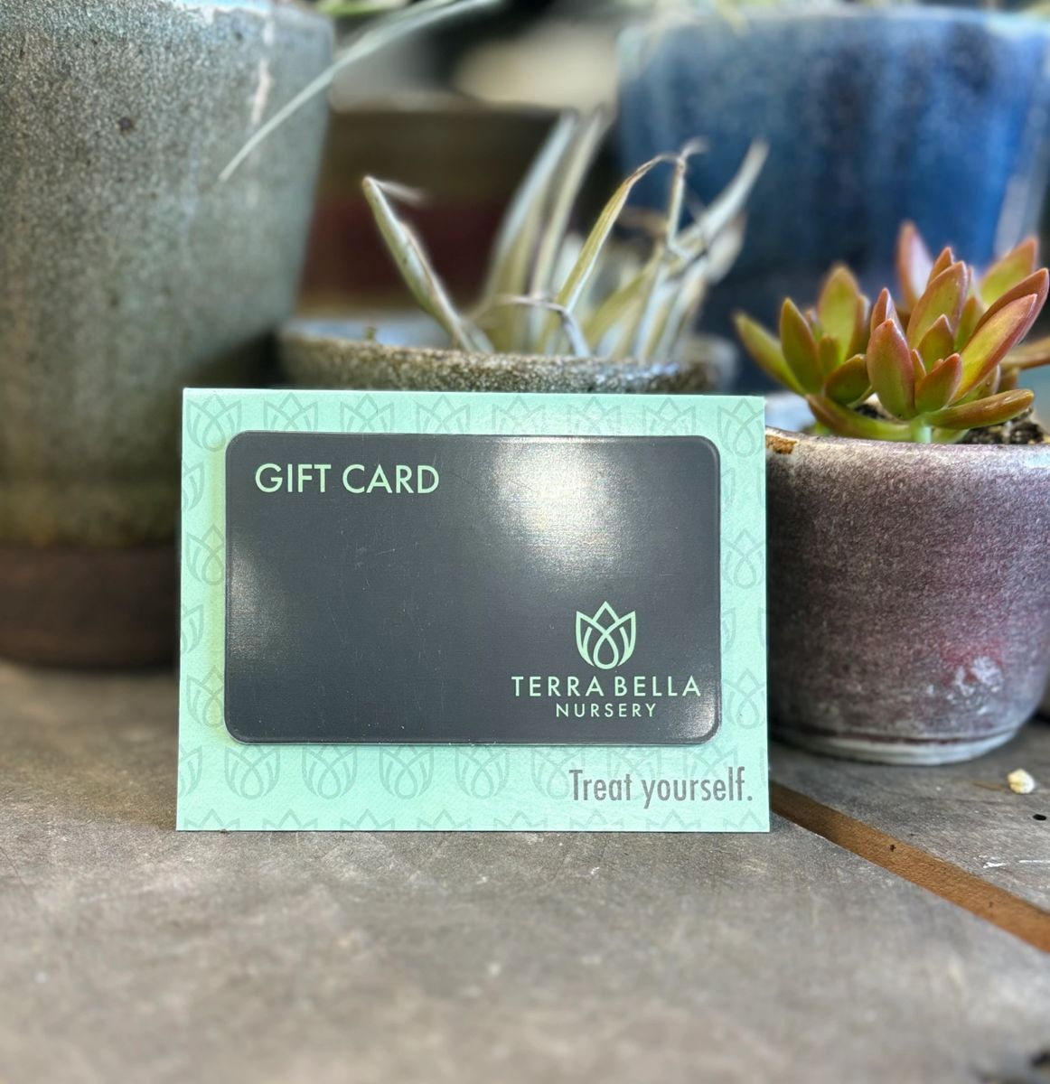 Local Plant Store Gift Card