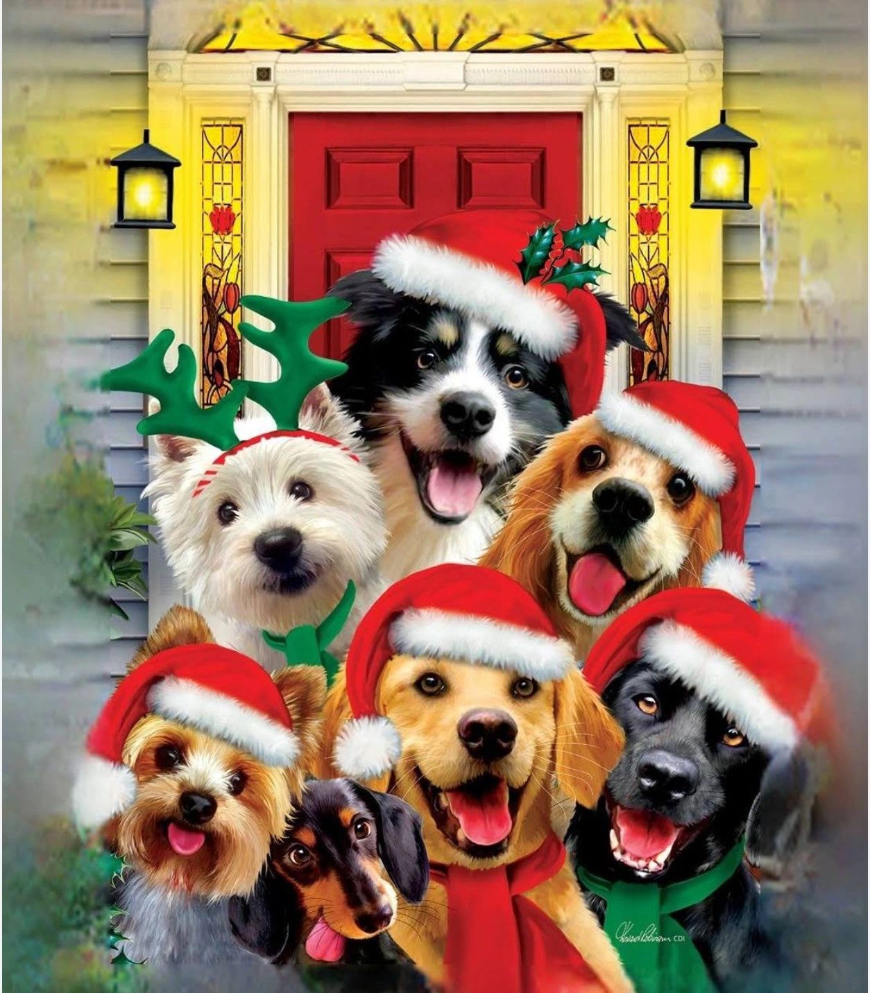 Mobile Dog Grooming Services Grooming OnTheGo