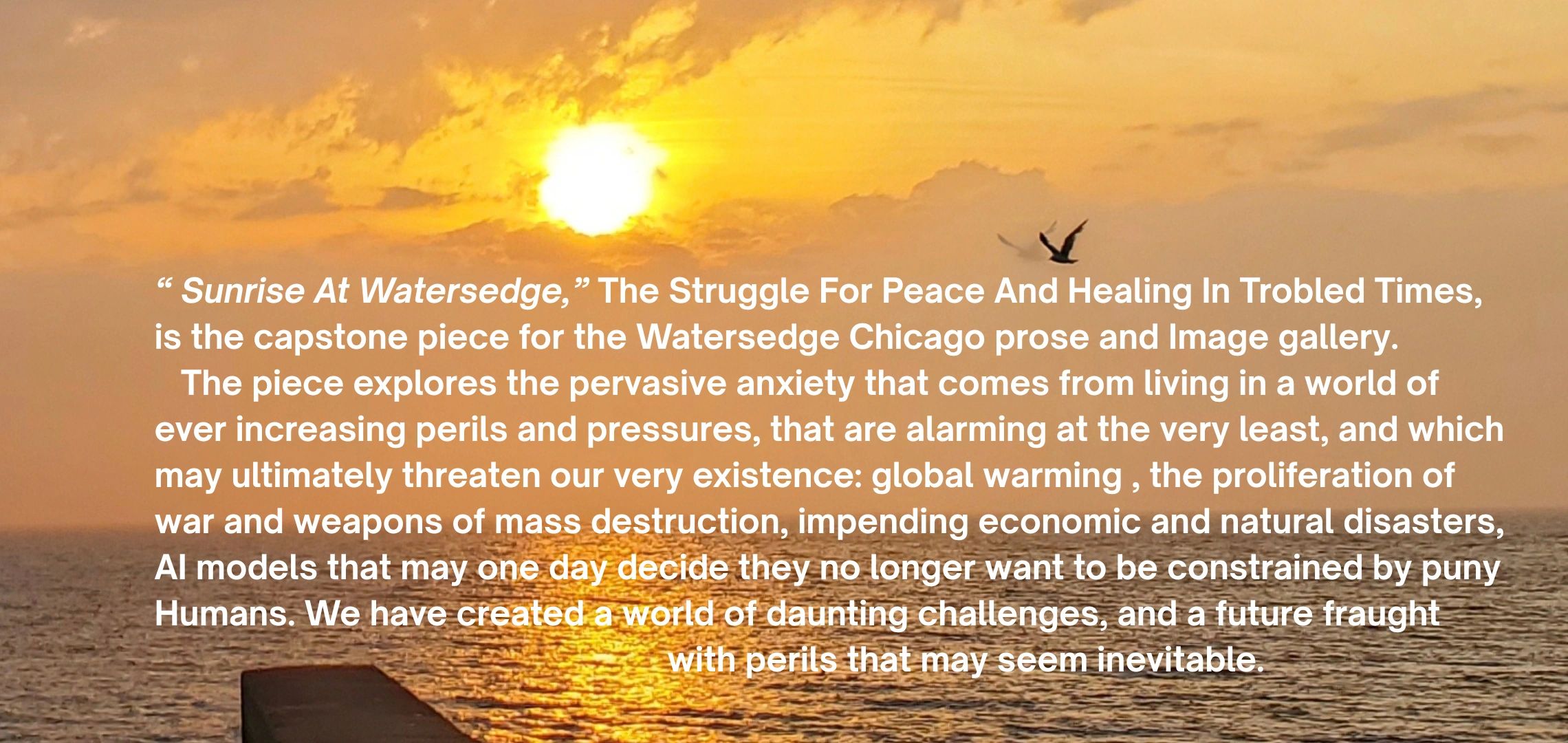 Sunrise over peaceful waters with a bird in flight, symbolizing hope amid challenges.