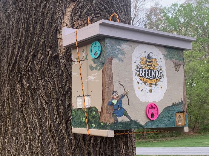 Swarm trap on a tree. 