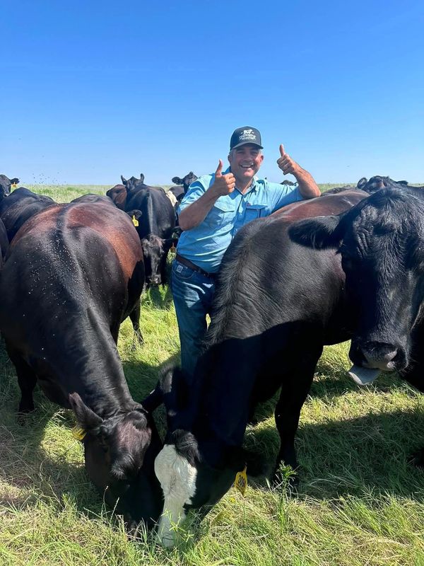 Clay with cattle