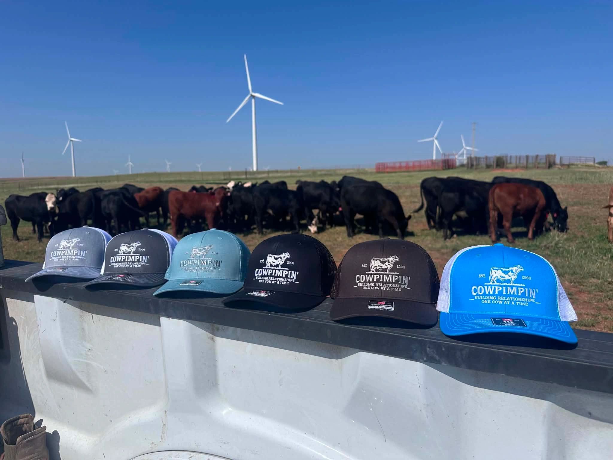 Hats lined up with cows and wind turbines in the background.
