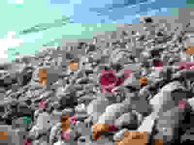 image484
