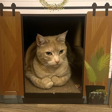 A ginger cat sitting inside a miniature wooden cabinet with painted plants.