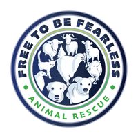 Free To Be Fearless Animal Rescue 