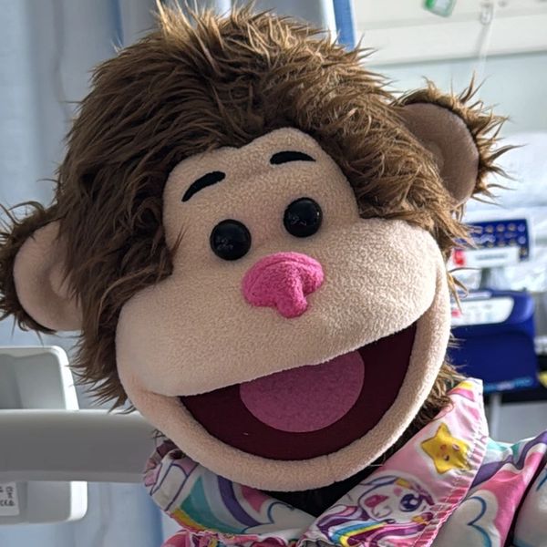 Close-up of a cheerful monkey puppet with a pink nose and colorful attire.
