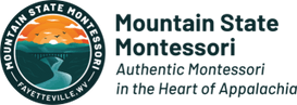 Mountain State Montessori