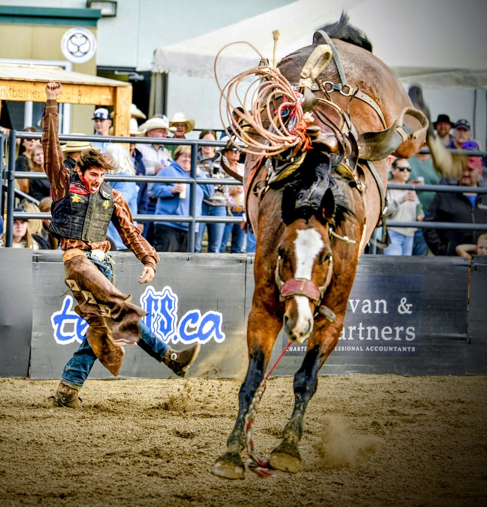 Charlie Quinn - Pollockville AB July 2025