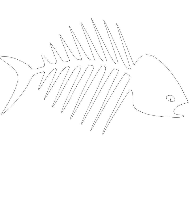 Fish Bones Transparent