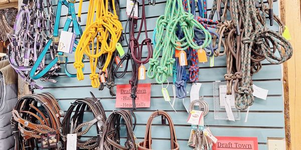 Colorful horse halters and headstalls hanging on display at a store.