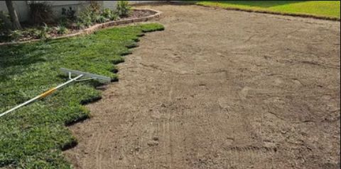 Sod installation company, Lakeland Lawn Services