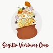 SAGITTA VENTURES CORP