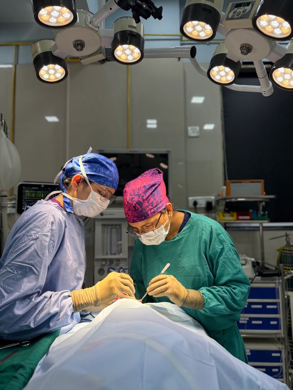 Collaborative veterinary surgery demonstrating hands-on learning and knowledge sharing among veterinary professionals.