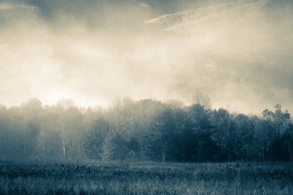 Fog, cades cove, smoky mountains, barry altmark, art, artwork, photography