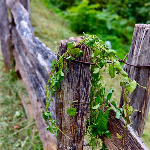 Fence, smoky mountains, Gatlinburg, Tennessee, Barry altmark, photography, fine art photography