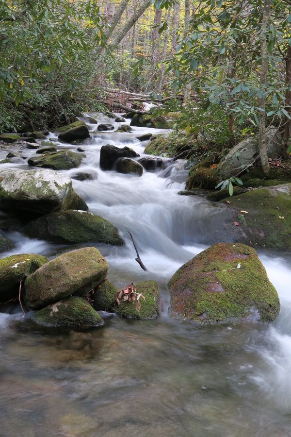 Spring, river, smokies, art, photography, Barry Altmark, little pigeon river 