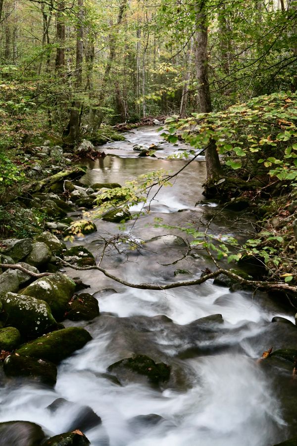 Fall, river, smokies, art, photography, Barry Altmark, little pigeon river 