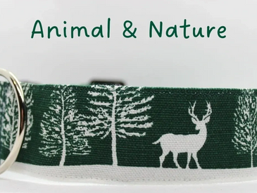 Animal & Nature