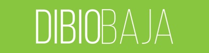 DIBIO BAJA Farmacia