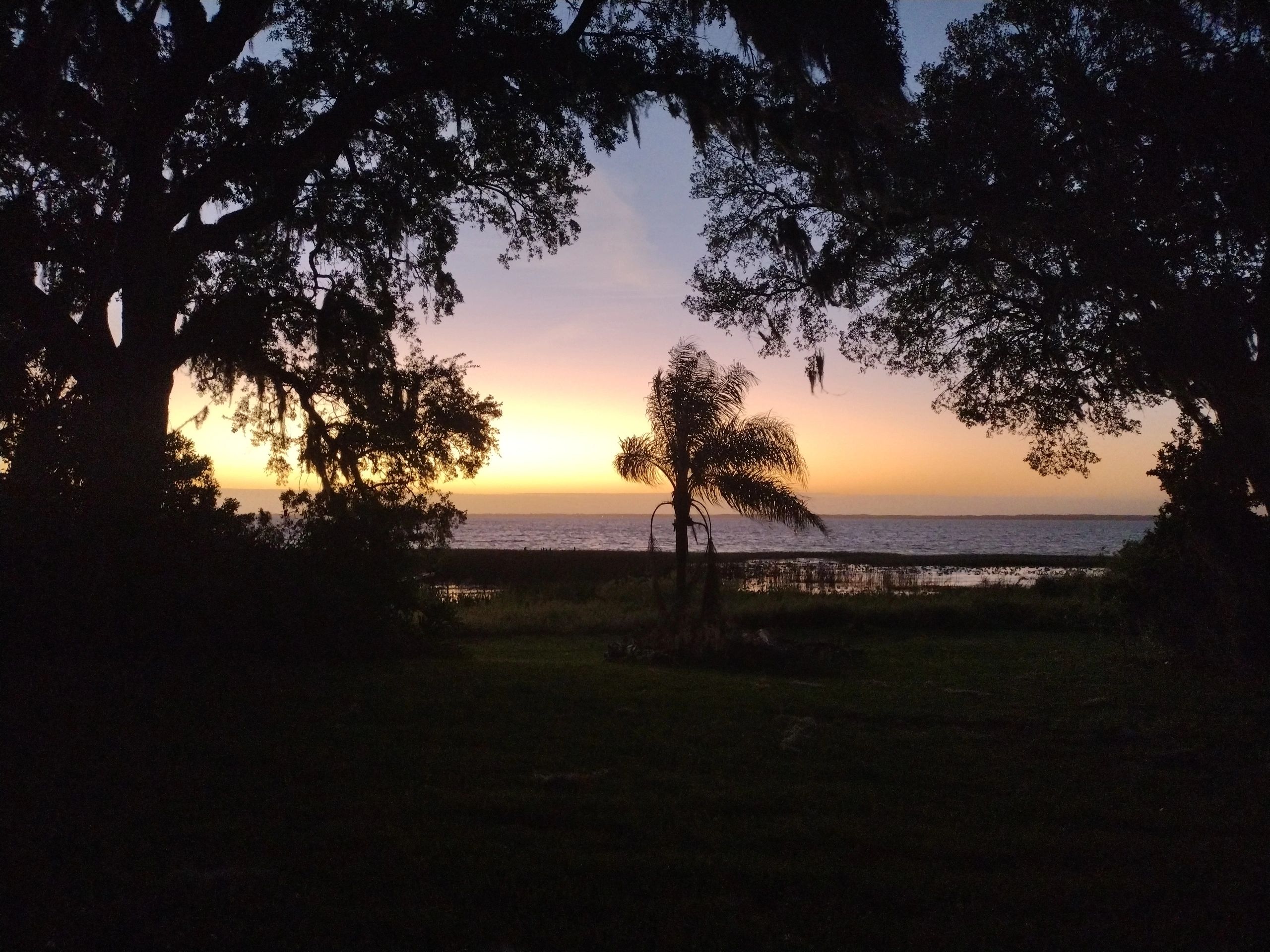 mental-health-services-individual-group-therapy