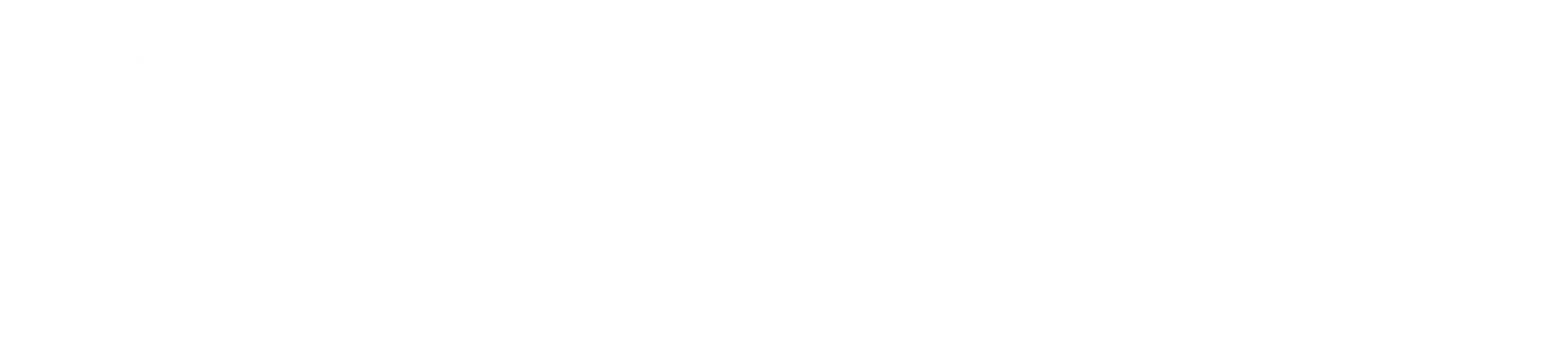 Fence In Texas